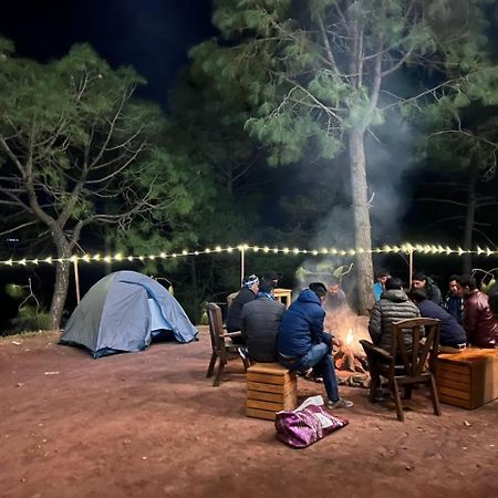Hotel Tribe View - Away From City Hustle !! Top Rated & Most Awarded Property !! A Peaceful Stay Kasauli Εξωτερικό φωτογραφία