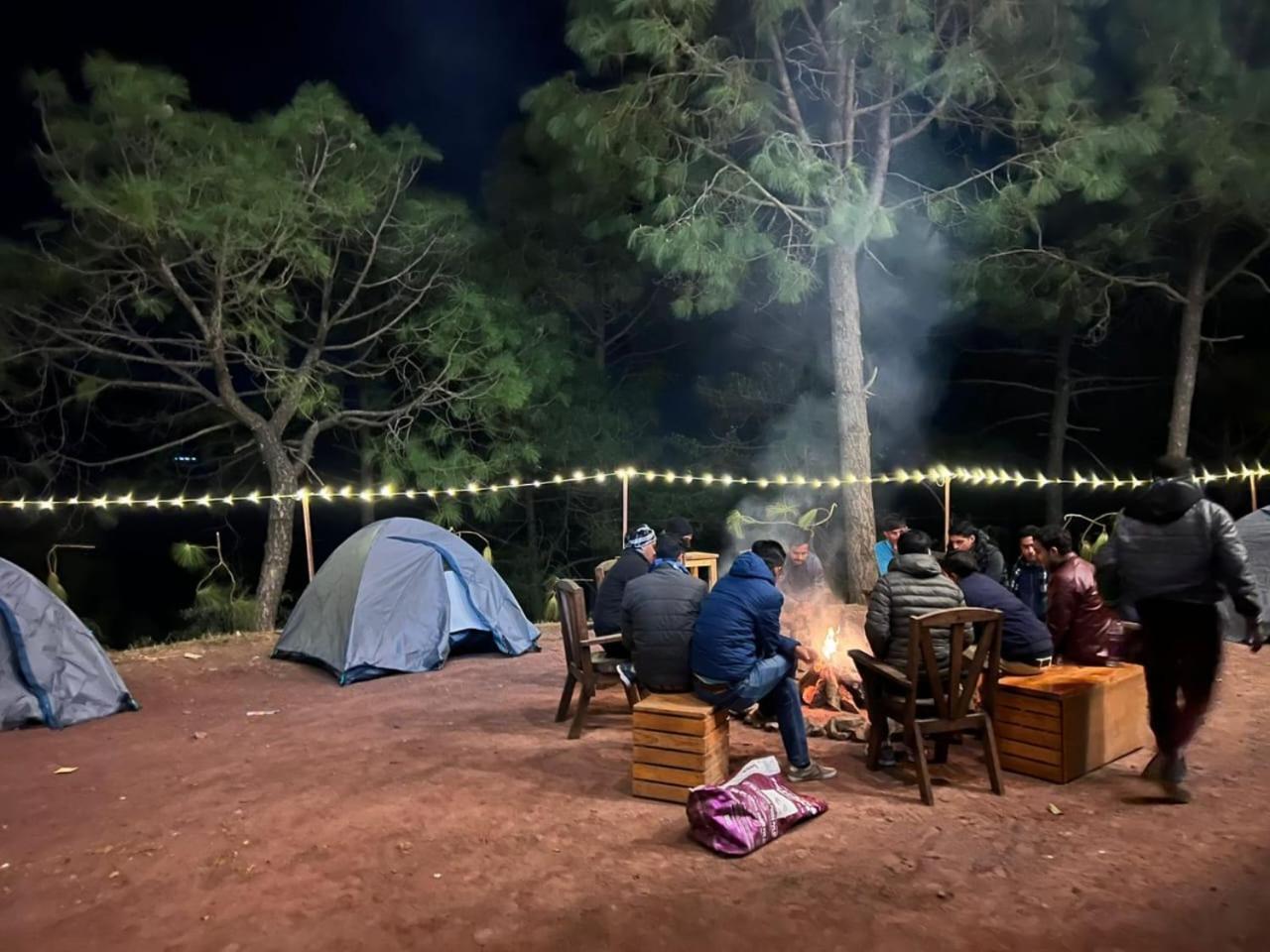Hotel Tribe View - Away From City Hustle !! Top Rated & Most Awarded Property !! A Peaceful Stay Kasauli Εξωτερικό φωτογραφία